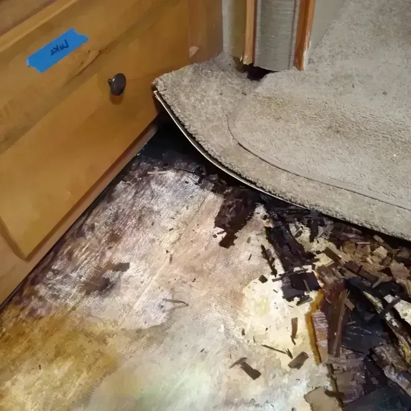 Wood Floor Water Damage in Palmetto, FL